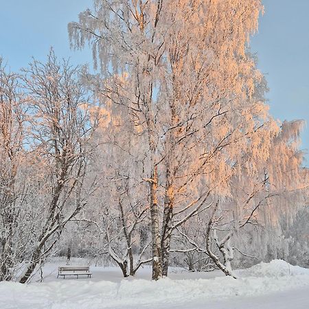 Tilava Uudistettu Perheasunto Lägenhet Rovaniemi Exteriör bild
