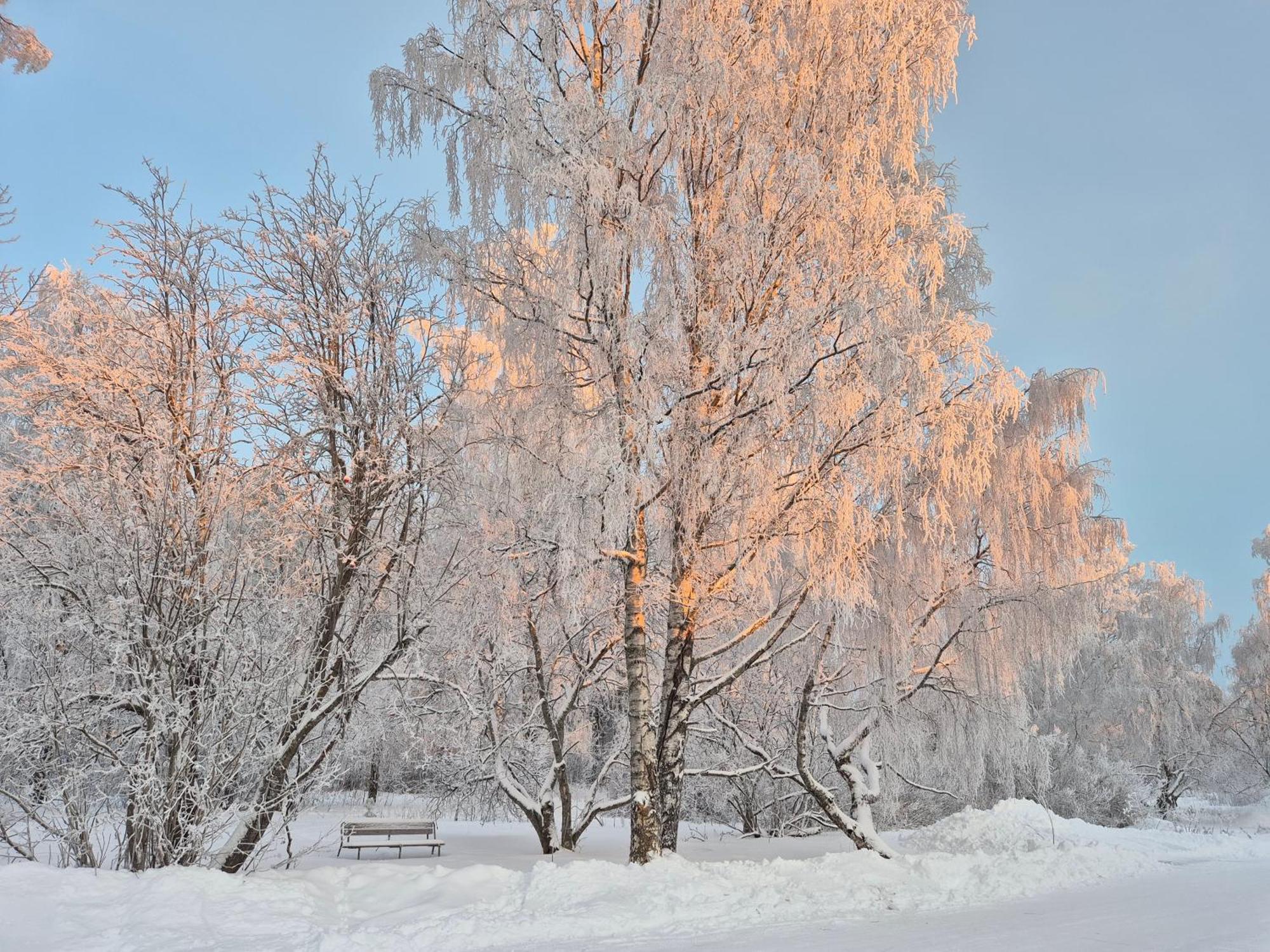Tilava Uudistettu Perheasunto Lägenhet Rovaniemi Exteriör bild